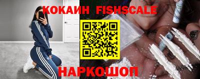 индика Новодвинск