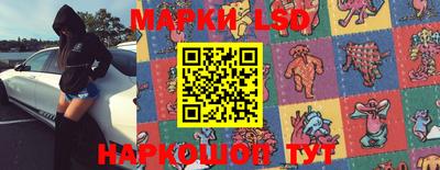 индика Новодвинск