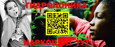 apvp Новозыбков