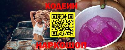 индика Новодвинск