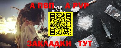 индика Новодвинск