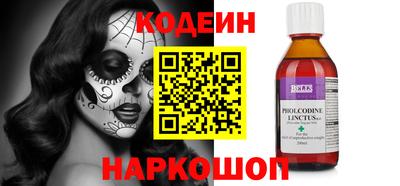 индика Новодвинск