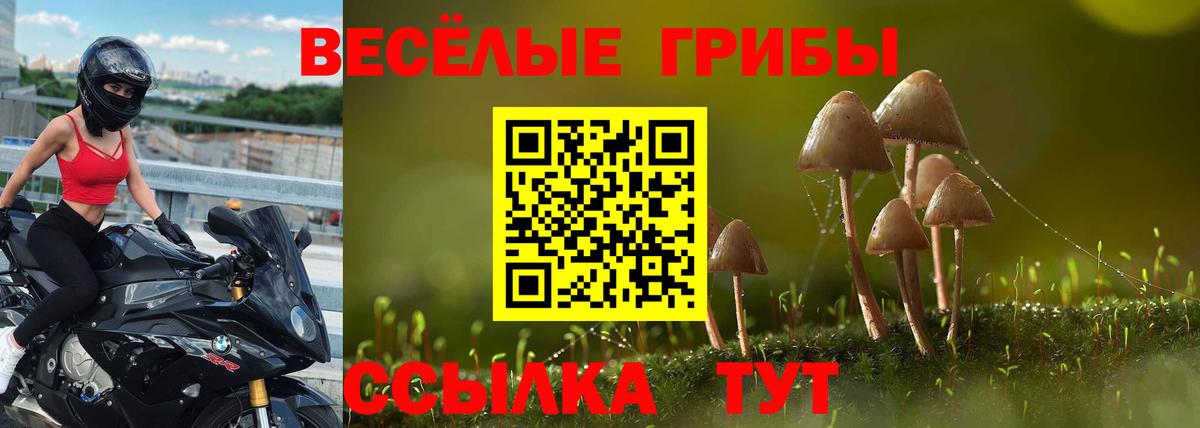 Галлюциногенные грибы мухоморы  цена   Учалы  Вход с VPN 